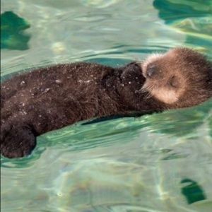 Meet your Posher, Bar